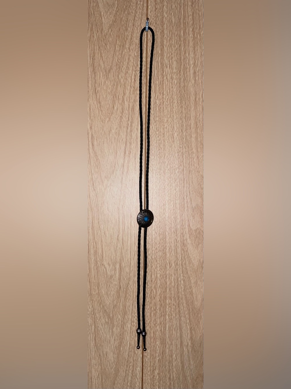 Turquoise Accent Bolo Tie with Braided Black Cord
